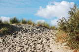 Hier geht es zum Brouwersdam Strand